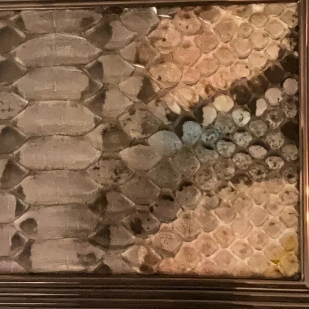 Judith Leiber Stunning Python and Metallic Leather Clutch/Handbag